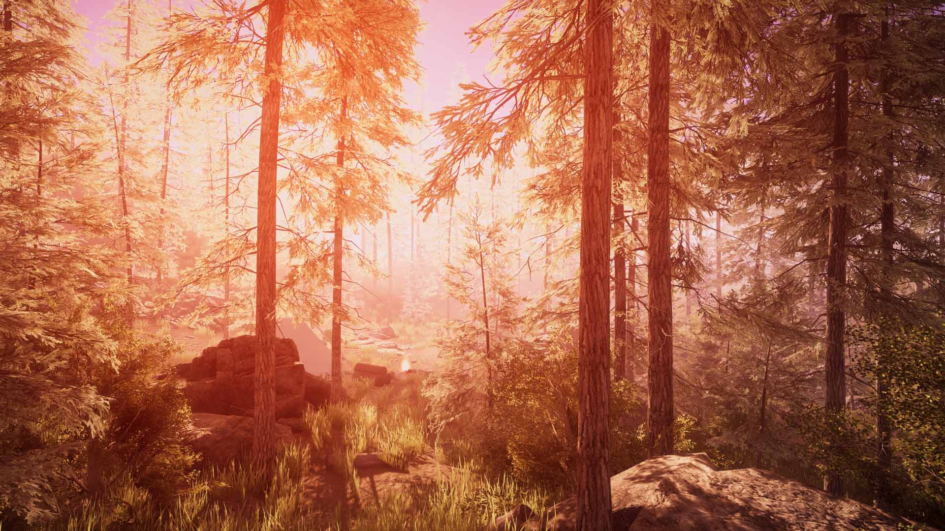 The forest of The Five Chapters